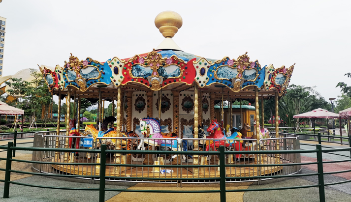 Family rides - carousel ride